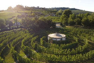 Florence : cours de cuisine et dégustation de vins à San Gimignano