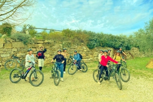 Florence: Country Ebike tour + Wine tasting in organic farm