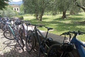 Florence: Country Ebike tour + Wine tasting in organic farm