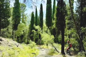 Florence: Country Ebike tour + Wine tasting in organic farm