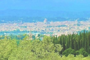 Florence: Country Ebike tour + Wine tasting in organic farm