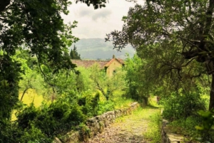 Florence: Country Ebike tour + Wine tasting in organic farm