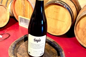 Florença: Visita ao campo com prova de vinhos e aula de massas