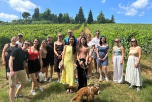 Florença: Visita ao campo com prova de vinhos e aula de massas