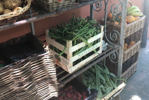 Florence : expérience culinaire dans la Limonaia avec coucher de soleil et jardin enchanté