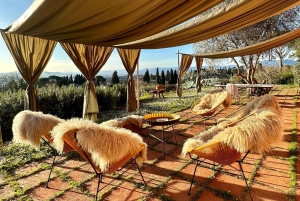 Florence : expérience culinaire dans la Limonaia avec coucher de soleil et jardin enchanté