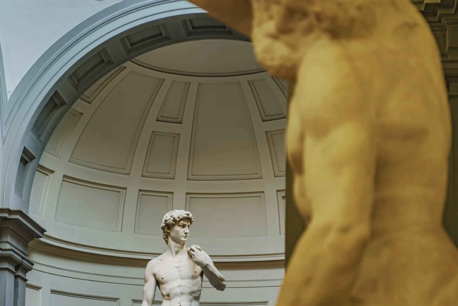 Florence: David & Accademia Gallery Small Group Tour