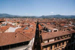 Firenze: Tour VIP del David all'Accademia e delle Terrazze del Duomo