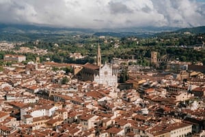 Firenze: Tour VIP del David all'Accademia e delle Terrazze del Duomo