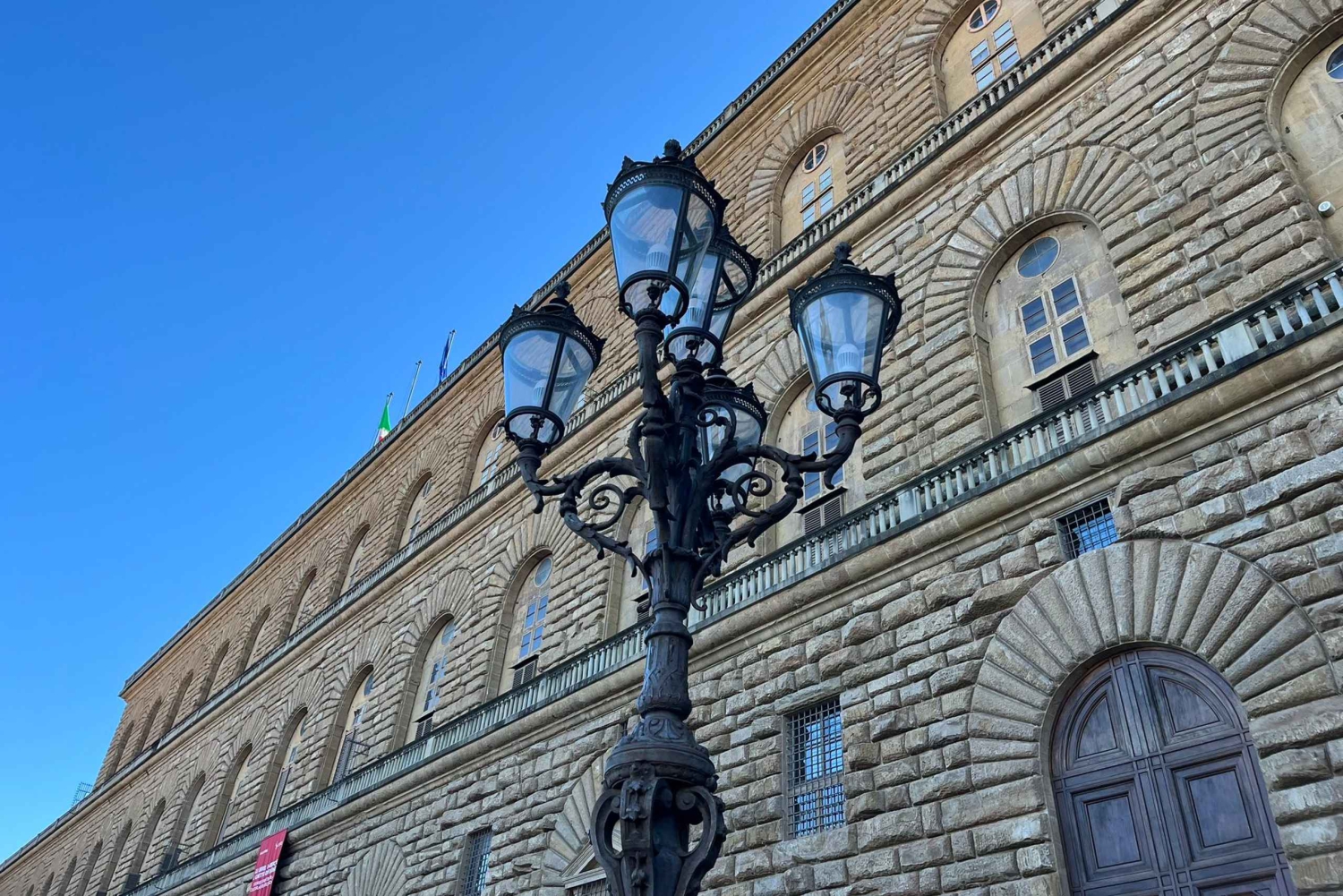 Firenze: Biglietti per la combinazione di David, Palazzo Pitti e Giardini