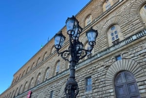 Firenze: Biglietti per la combinazione di David, Palazzo Pitti e Giardini