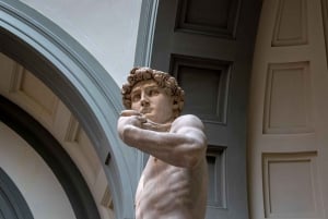 Firenze: Biglietti per la combinazione di David, Palazzo Pitti e Giardini