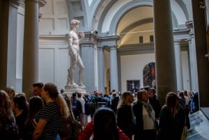 Firenze: Biglietti per la combinazione di David, Palazzo Pitti e Giardini