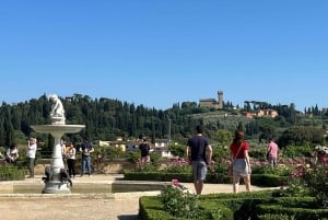 Firenze: Biglietti per la combinazione di David, Palazzo Pitti e Giardini