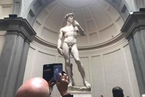 Firenze: Biglietti per la combinazione di David, Palazzo Pitti e Giardini