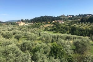 Firenze: Biglietti per la combinazione di David, Palazzo Pitti e Giardini