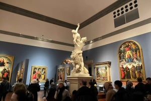 Firenze: Biglietti per la combinazione di David, Palazzo Pitti e Giardini