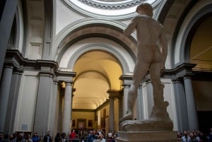 Firenze: Biglietti per la combinazione di David, Palazzo Pitti e Giardini
