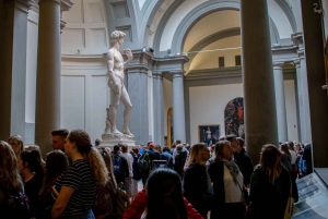 Firenze: David – inngangsbilletter uten kø og VR-guide