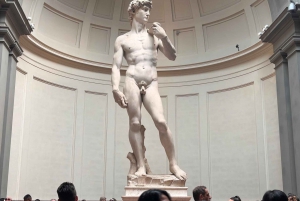 Florence: David's Accademia timed Ticket with Audio APP