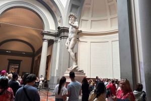 Florence: David's Accademia timed Ticket with Audio APP
