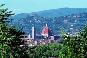 Gita di un giorno a Firenze da Roma con pranzo