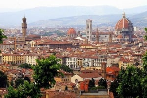 Firenzen päiväretki Roomasta lounaalla