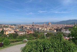Florence: Iconic Landmarks and Hills E-Bike Tour