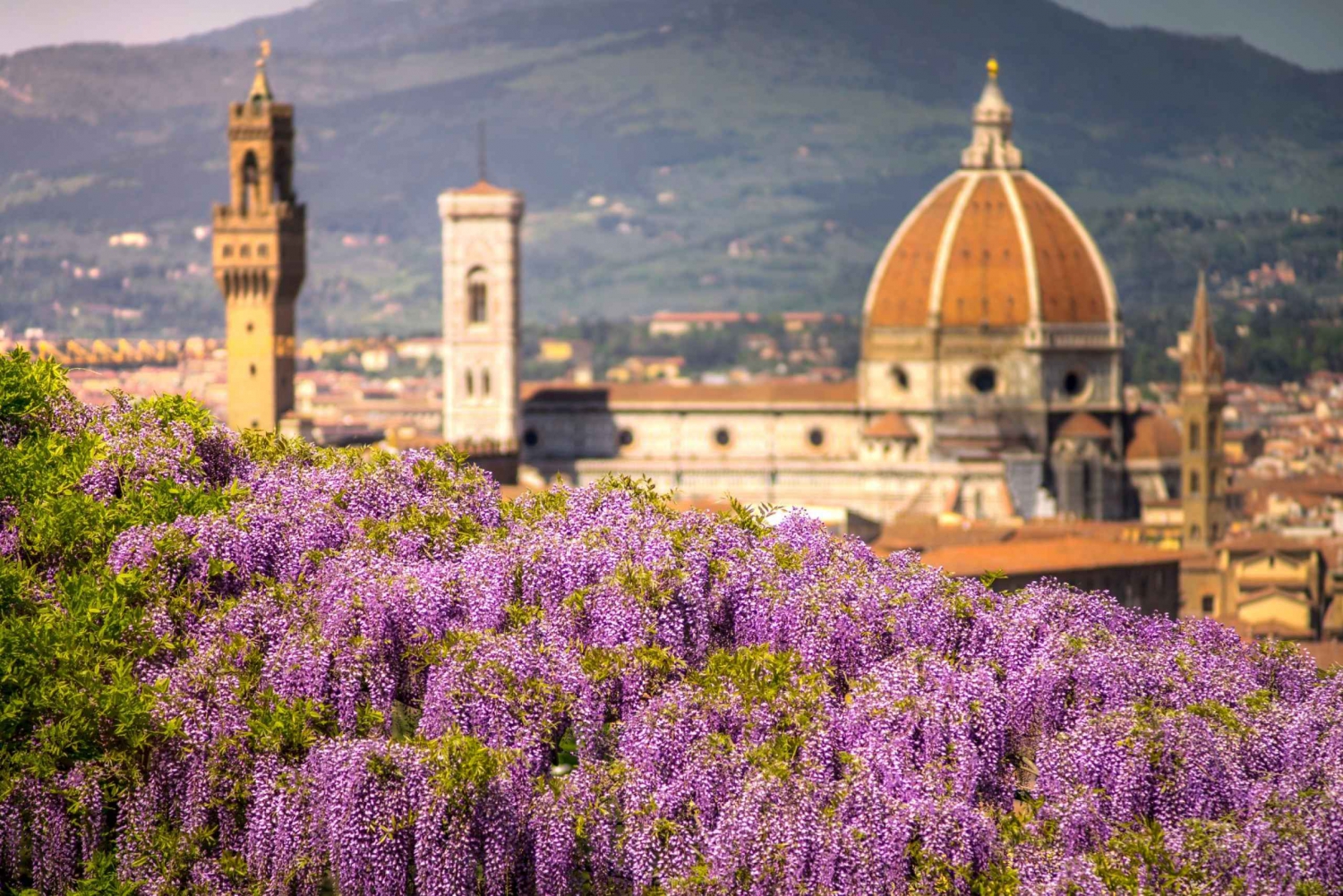 Florença Premium E-Bike Tour + sessão fotográfica e degustações