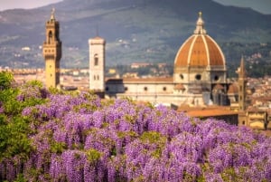 Florença Premium E-Bike Tour + sessão fotográfica e degustações