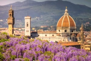 Florence Premium E-Bike Football Tour