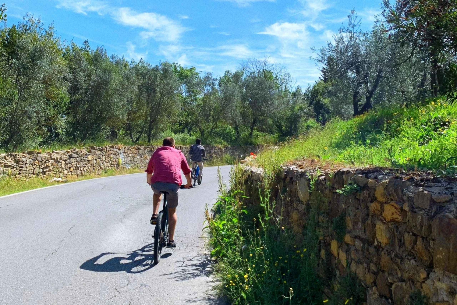 Florence: E-Bike Tour of Tuscan Countryside & Farm Visit