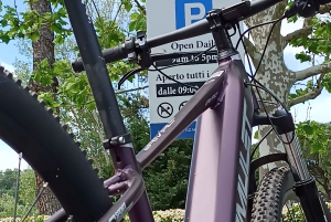 Florence: E-Bike Tour of Tuscan Countryside & Farm Visit
