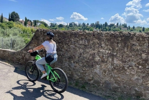 Florencja: wycieczka e-rowerem po Toskanii z winiarnią i degustacją win