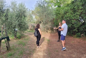 Florencja: wycieczka e-rowerem po Toskanii z winiarnią i degustacją win