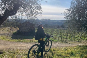 Florencja: wycieczka e-rowerem po Toskanii z winiarnią i degustacją win