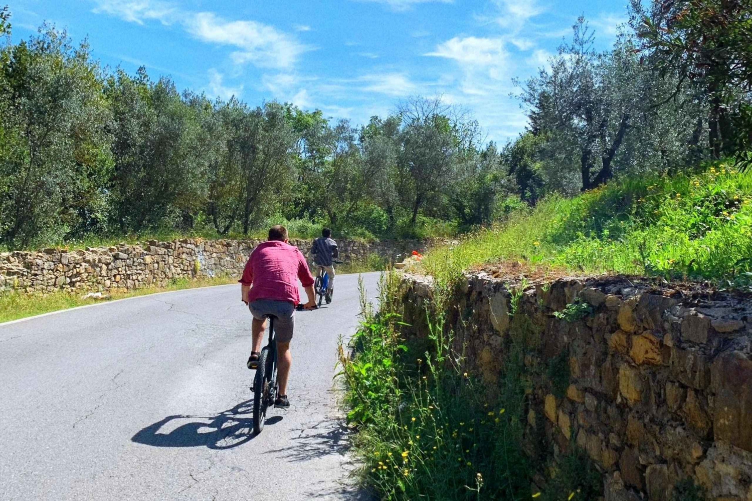 Firenze: Maatilavierailu: E-Bike Tour of Tuscan Countryside & Farm Visit