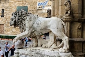 Firenze: E-Bike-tur med Michelangelo-pladsen