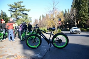 Florens: Guidad tur med elcykel