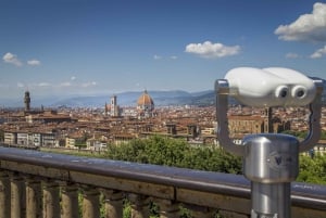 Firenze: Miljøvenlig panoramatur i elektrisk golfvogn: Firenze: Miljøvenlig panoramatur