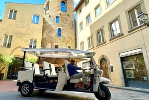Florens: Stadsvandring med ekologisk golfbil och tuk-tuk (rädda planeten)