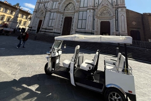 Florens: Stadsvandring med ekologisk golfbil och tuk-tuk (rädda planeten)