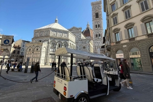 Florens: Stadsvandring med ekologisk golfbil och tuk-tuk (rädda planeten)