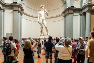 Firenze: Økologisk golfvogntur og besøk til Michelangelos David