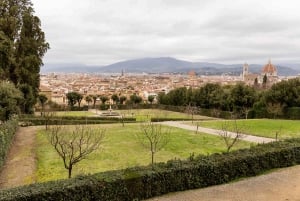 Florence: Entrance Ticket to Pitti Palace