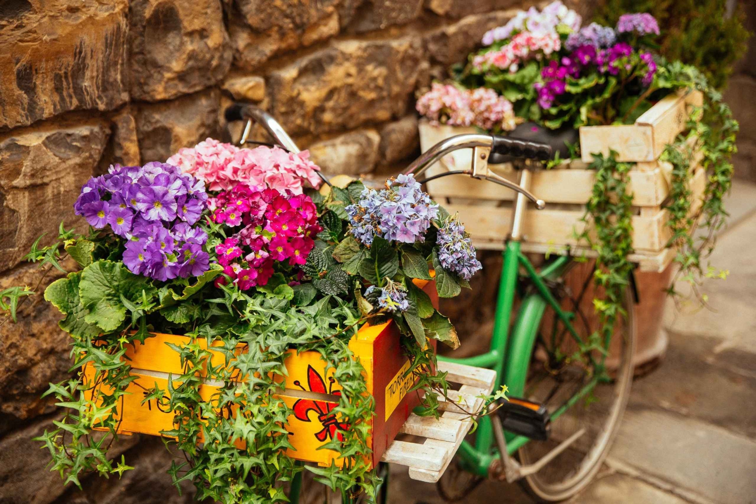 Florence: Family-Friendly Private Tour