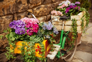 Florence: Family-Friendly Private Tour