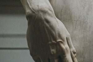 Florens: Entrébiljett till Accademia-galleriet med snabbspårning