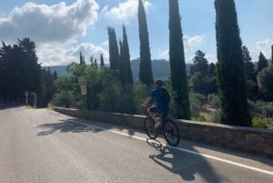 Firenze: Fiesole cykeltur