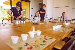 Wycieczka rowerowa e-bike po Fiesole z degustacjÄ… oliwy z oliwek lub basenem i relaksem